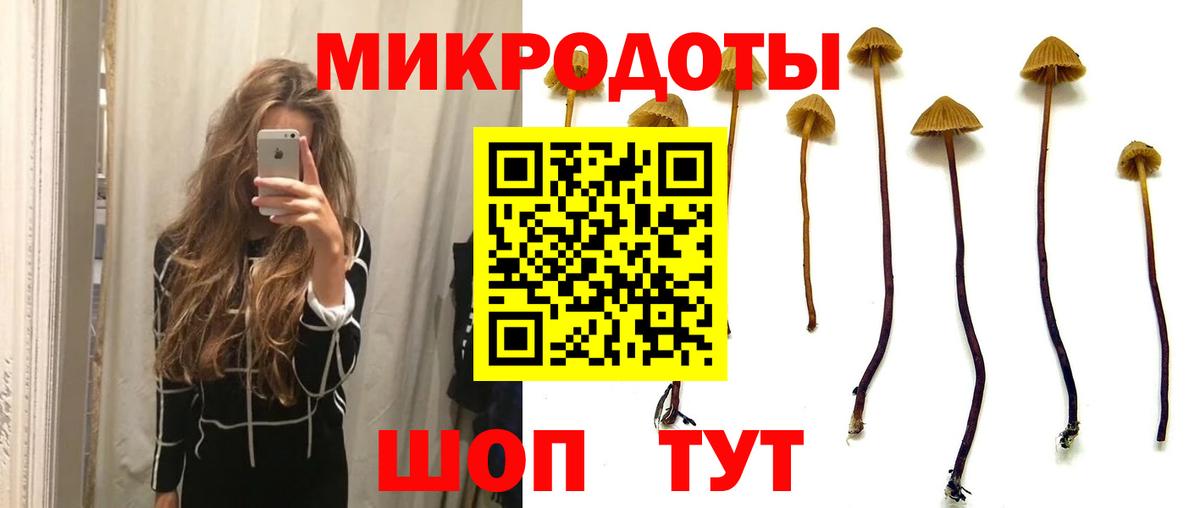 Галлюциногенные грибы GOLDEN TEACHER Севастополь